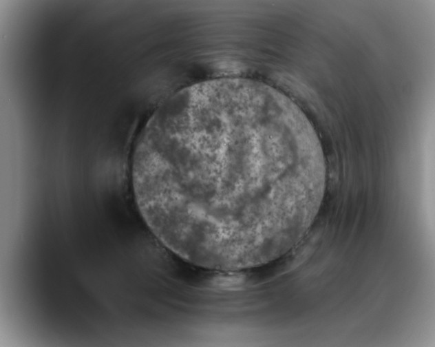 X0000089830369200707191830