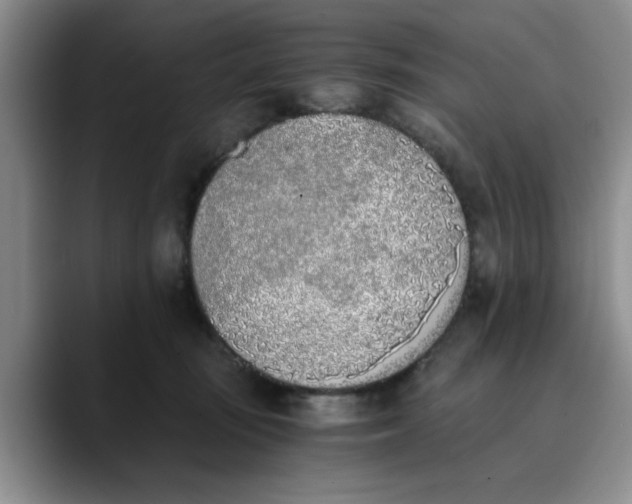 X0000089830371200707191830