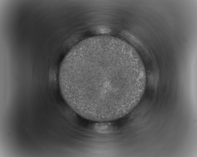 X0000089830373200707191830