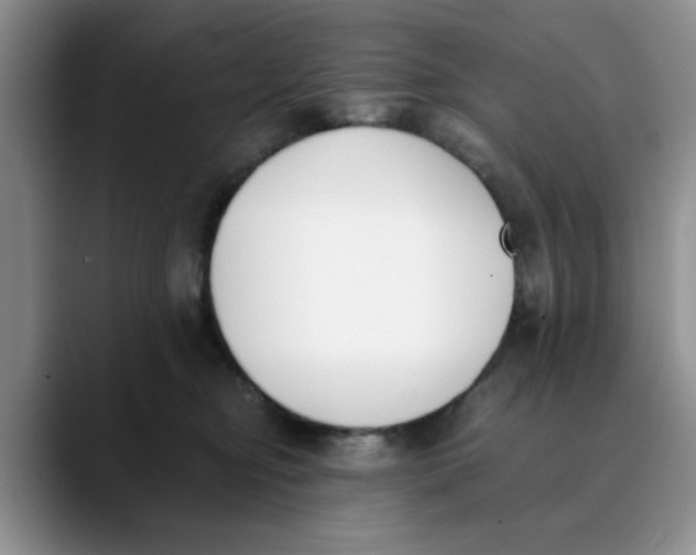 X0000089830374200707191830