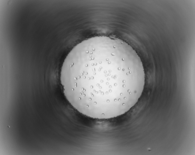 X0000089830376200707191830