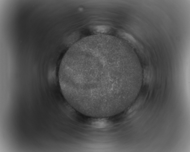 X0000089830377200707191830