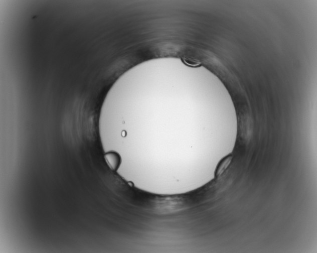 X0000089830378200707191830