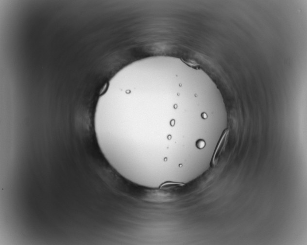 X0000089830380200707191830