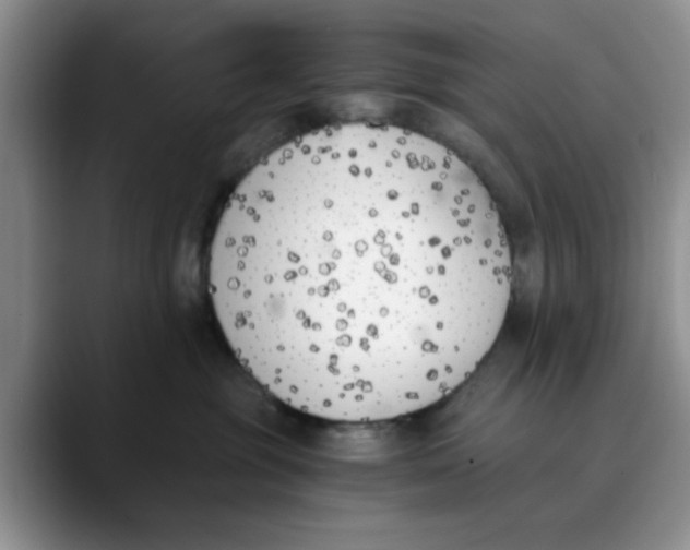 X0000089830381200707191830