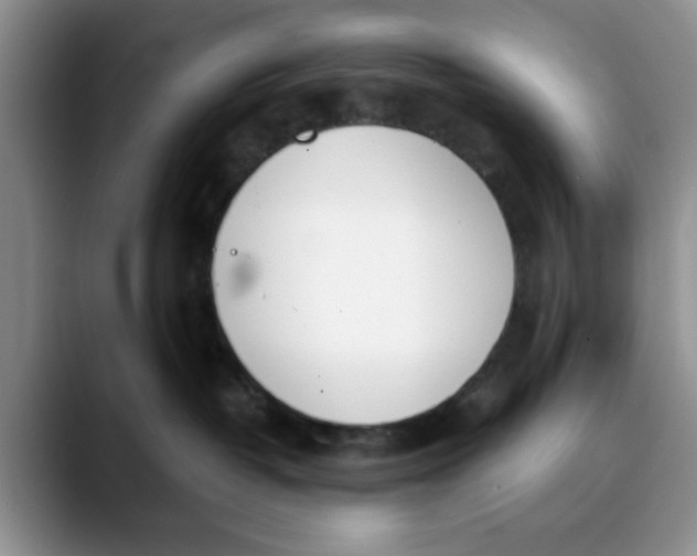 X0000089830382200707191830