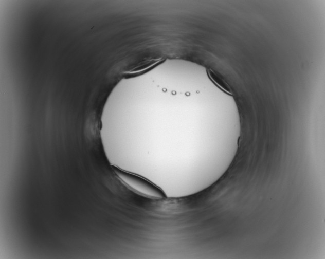 X0000089830384200707191830