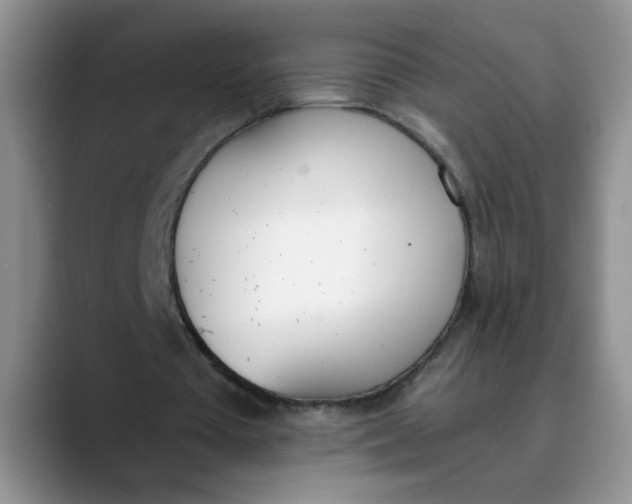 X0000089830385200707191830