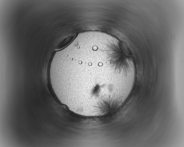 X0000089830386200707191830