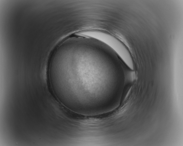 X0000089830387200707191830