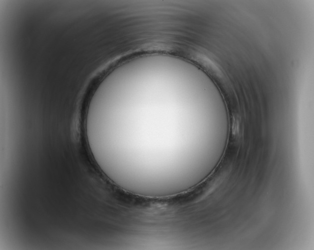 X0000089830388200707191830