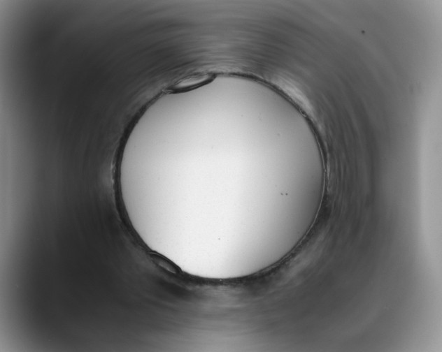 X0000089830389200707191830