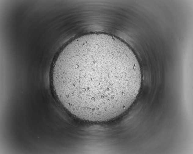 X0000089830390200707191830