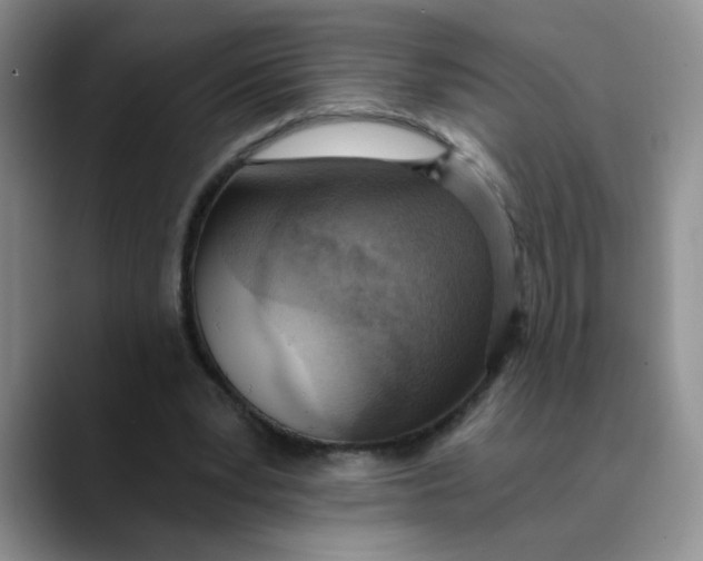 X0000089830391200707191830