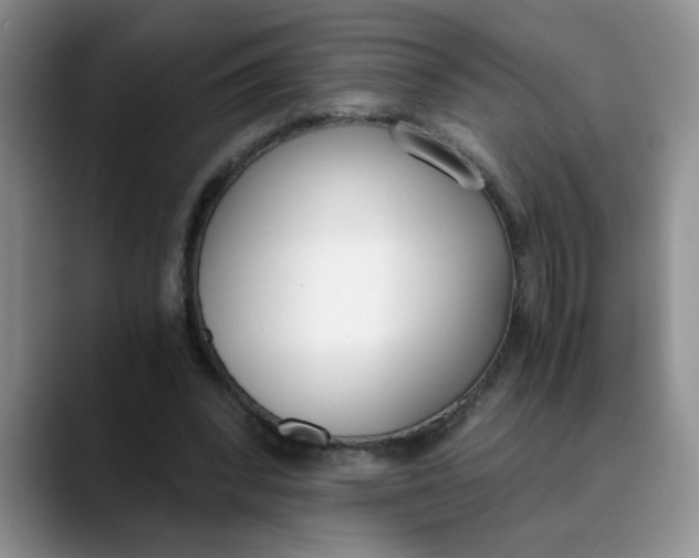 X0000089830392200707191830