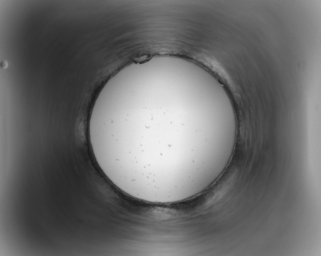 X0000089830393200707191830