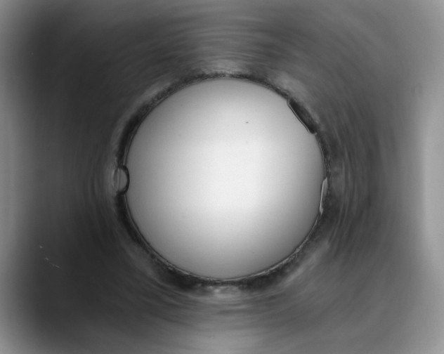 X0000089830395200707191830