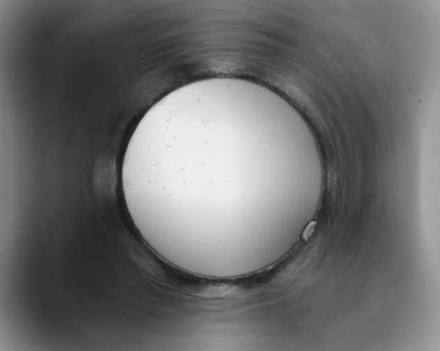 X0000089830397200707191830