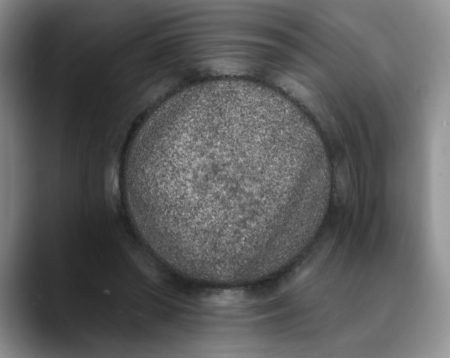 X0000089830398200707191830