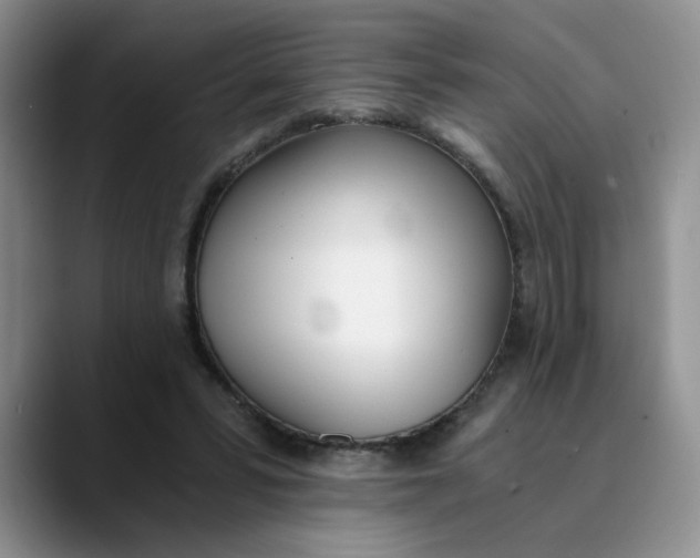 X0000089830399200707191830