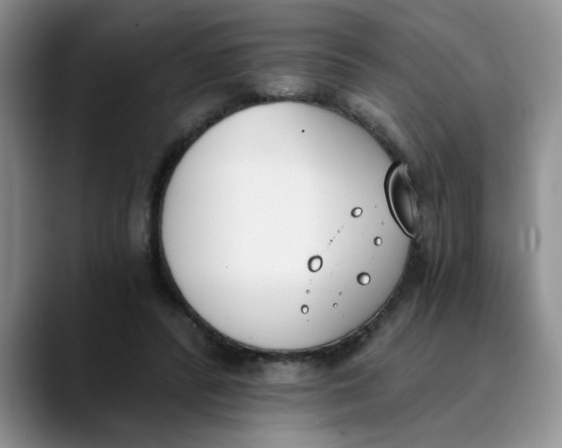 X0000089830400200707191830