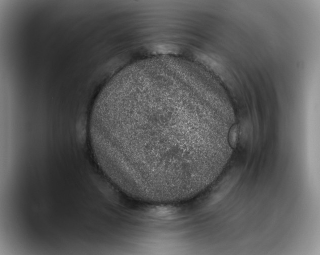 X0000089830402200707191829