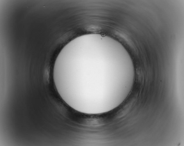 X0000089830404200707191829