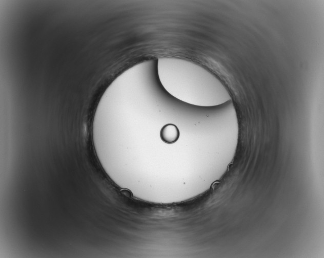 X0000089830405200707191829