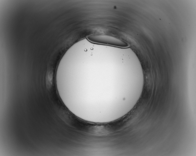 X0000089830406200707191829