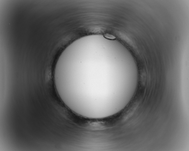 X0000089830407200707191829