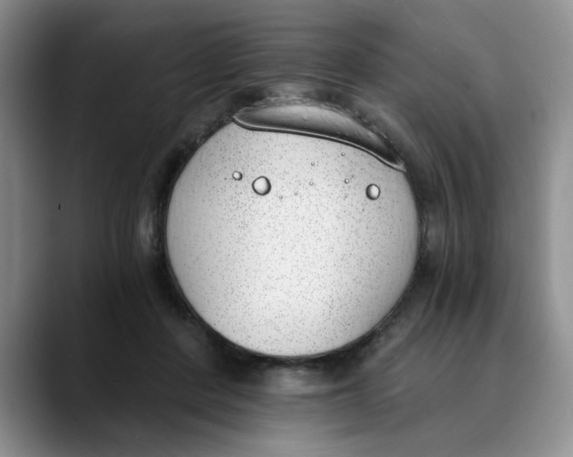 X0000089830408200707191829