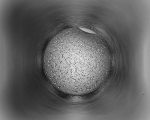 X0000089830409200707191829