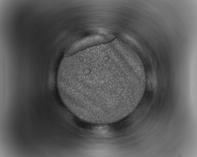 X0000089830410200707191829