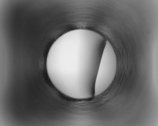 X0000089830411200707191829