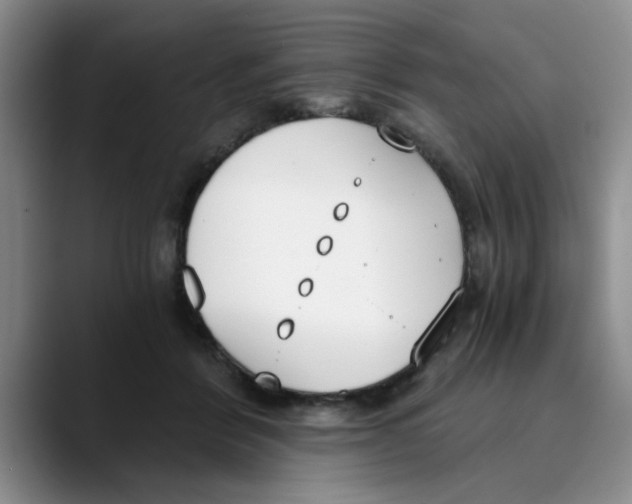 X0000089830412200707191829