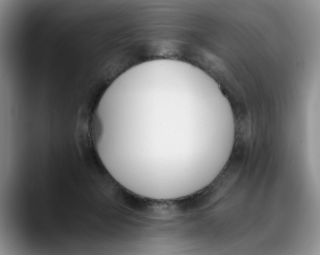 X0000089830415200707191829