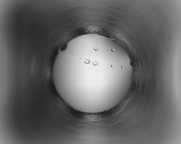 X0000089830417200707191829