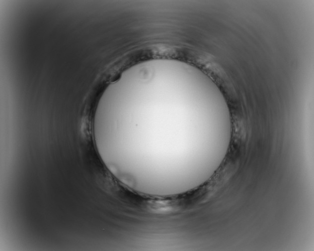 X0000089830419200707191829