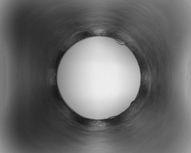 X0000089830421200707191829