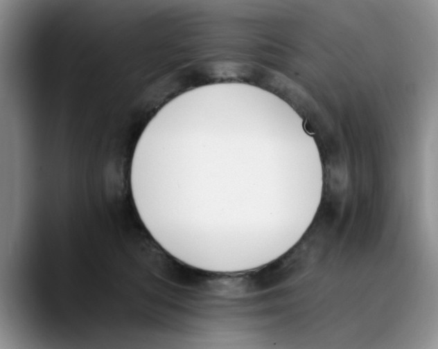 X0000089830422200707191829