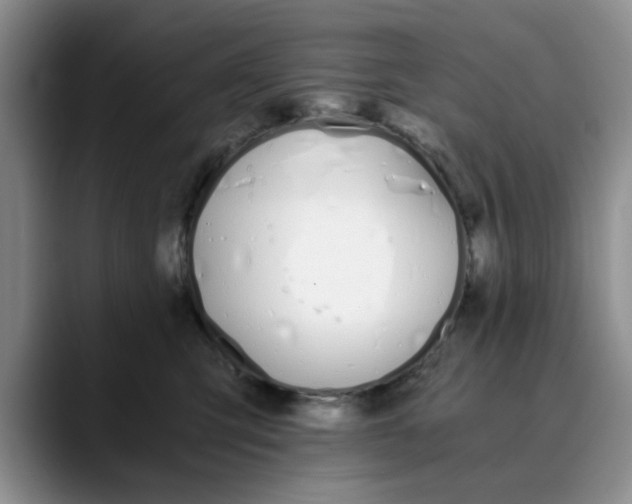 X0000089830423200707191829