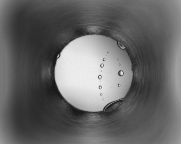 X0000089830424200707191829