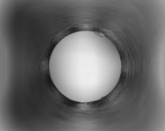 X0000089830425200707191829