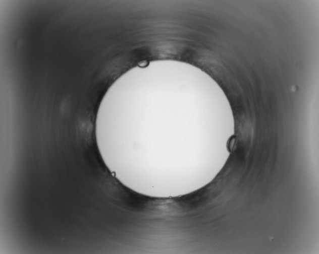 X0000089830427200707191829