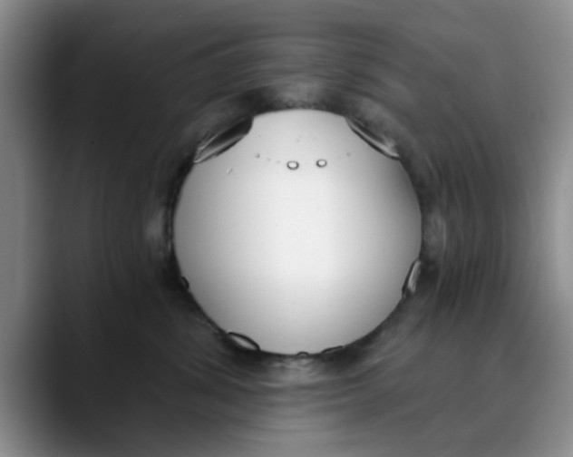 X0000089830428200707191829