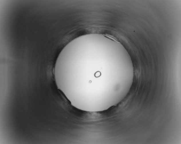 X0000089830429200707191829