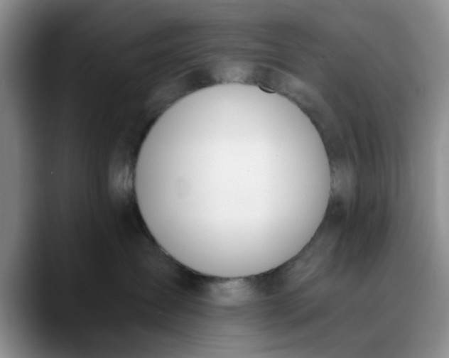 X0000089830431200707191829