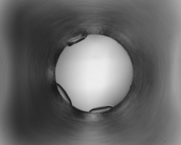 X0000089830432200707191829