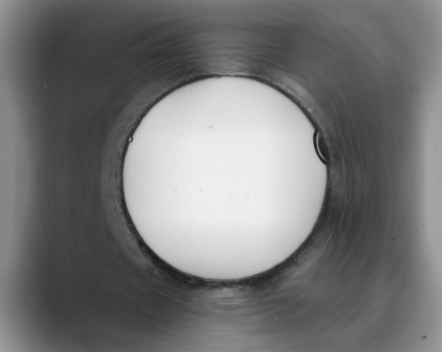 X0000089830433200707191829