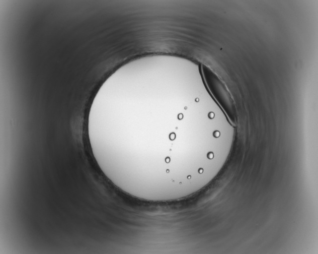 X0000089830434200707191829